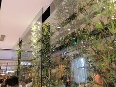 -虾饺妹·酒家(金碧店)