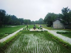 -北坞公园
