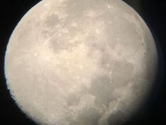 -樂桃源奉贤黄桃种植采摘基地