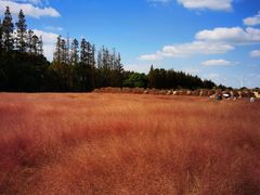 -嘉北郊野公园