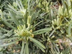 -幕燕滨江·长江观音景区