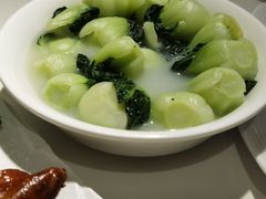 鸡汤白菜苗-东海海鲜酒家(流花店)