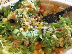 -油梨树AVOCADO TREE(顺义新国展店)