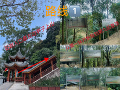 -阳台山森林公园
