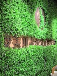 -变美丽半永久纹眉连锁·机器野生眉•洗眉