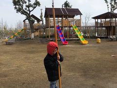 -上海长兴岛郊野公园