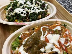 -油梨树AVOCADO TREE(顺义新国展店)