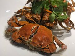 -童福兴·南京菜(老门东店)