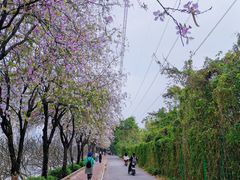 -南丰汇(新港东路店)