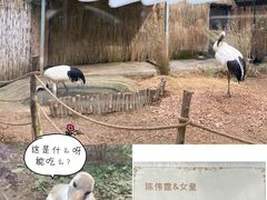-红山森林动物园