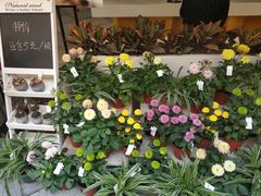 -格蕾花坊(民盈·国贸城店)