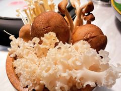 菇菌时蔬拼盘-滋粥楼·顺德菜(番禺广场总店)