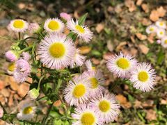 -旭宝高尔夫俱乐部