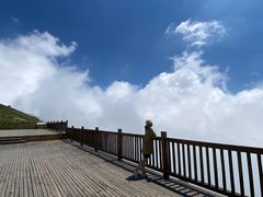 -白草畔自然风景区