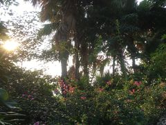 -炮台山公园
