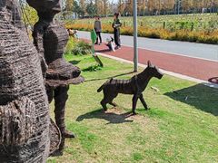 -上海长兴岛郊野公园