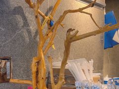 -雾鲜(KKMALL店)