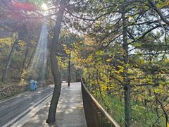 -大连森林动物园