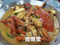 -金螃蟹