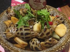 芥末花螺-蛙小侠(珠海华发商都店)