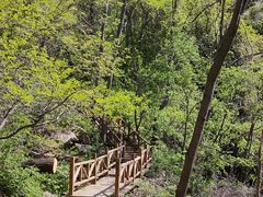 -大岭沟猕猴桃谷风景区