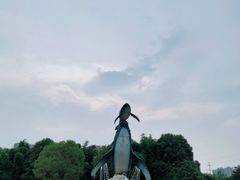 -海合安武汉极地海洋公园