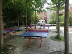 -西安市碑林区铁五小学