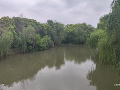-同里国家湿地公园