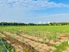 -汉长安城未央宫国家考古遗址公园