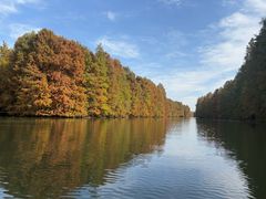 -上海海湾国家森林公园