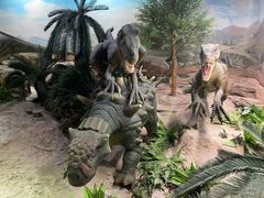 -国家自然博物馆