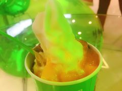 -Salud撒露欧洲冻酸奶(北苑上品店)