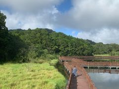 -海南热带雨林国家公园吊罗山景区