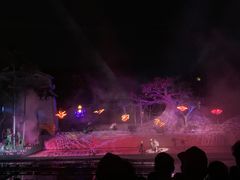 -三亚红色娘子军演艺公园景区