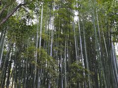 -汇龙潭