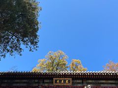 -潭柘寺景区