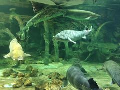 -华夏文旅海洋公园