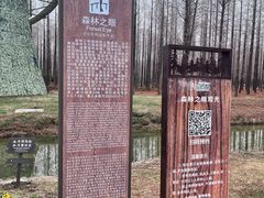 -黄海国家森林公园