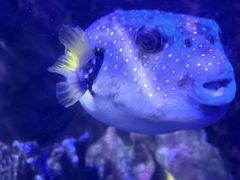 -太平洋海底世界