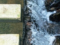 -龙道沟景区