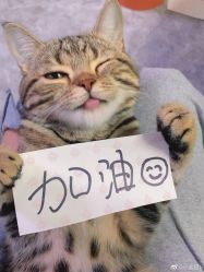 -凡碧诗毛孔收细