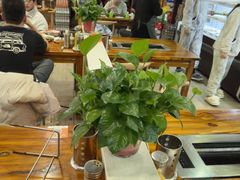 -哈尔滨小酒馆·鲜肉现穿自助烧烤(康新花园店)