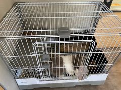 -小意思咖啡店(草桥店)