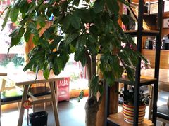 大堂-胖子菜馆(花园餐厅店)