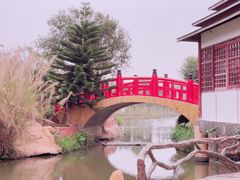 -丹樱生态园