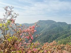 -木兰云雾山