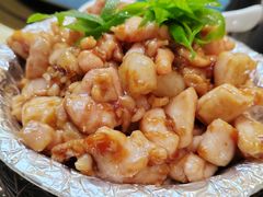 -丁老爷子苏香圆