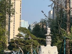 -木塔寺遗址生态公园