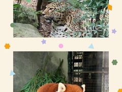 -杭州动物园