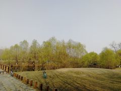 -长白岛森林公园